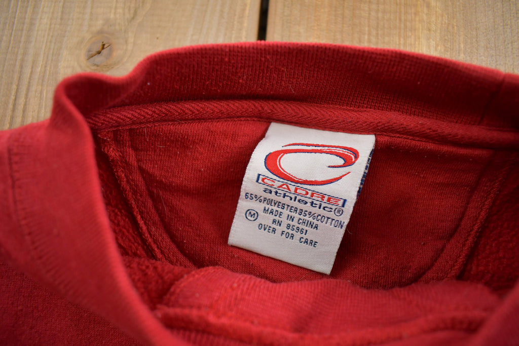 Vintage 1990s University Of Wisconsin Badgers Embroidered Crewneck