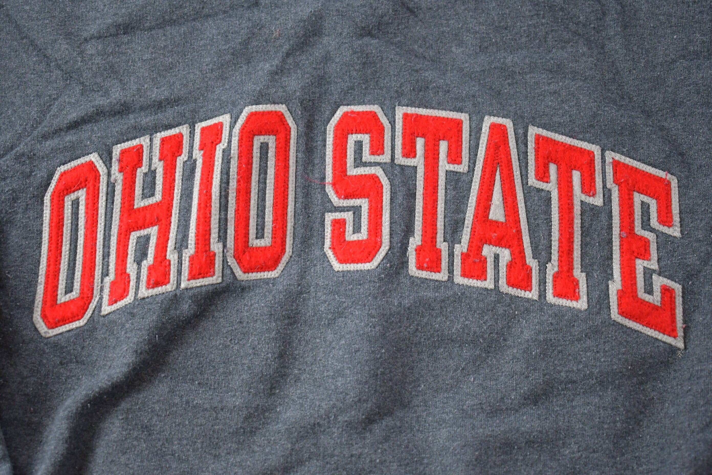 Vintage Y2K Ohio State Embroidered Collegiate Champion Crewneck