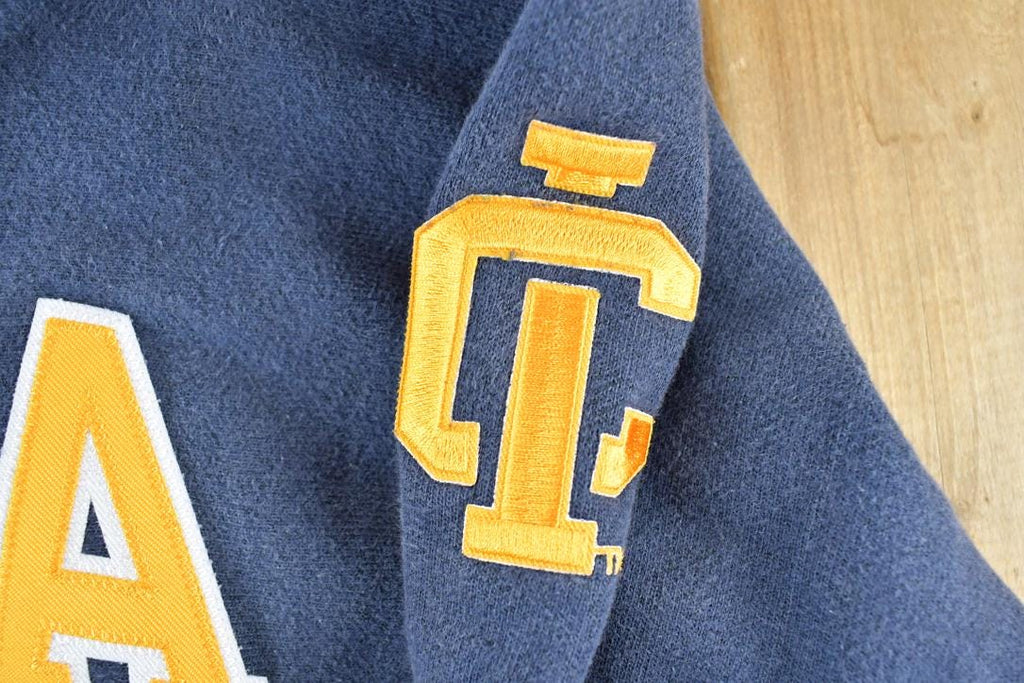 Vintage 1990s Champion Ithaca College Hoodie Sweatshirt