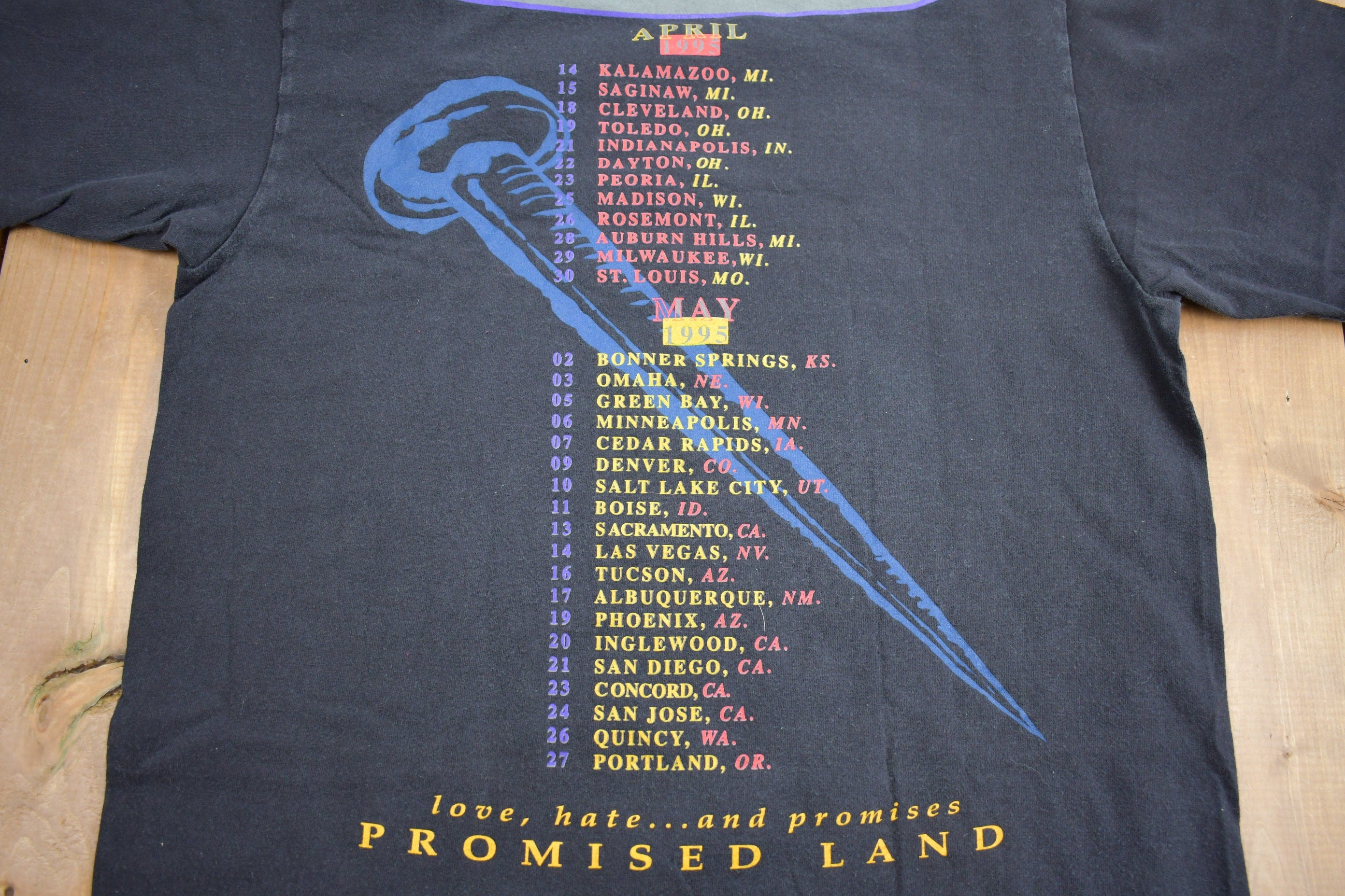 Vintage 1995 Queensrÿche Promised Land Tour Band T-shirt