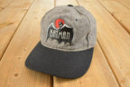 Vintage Y2K Youth Batman The Animated Series Comic Book Snapback Hat / 2000's Embroidered Cap
