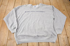 Vintage 1990s Buena Vista University Collegiate Champion Crewneck Size XL