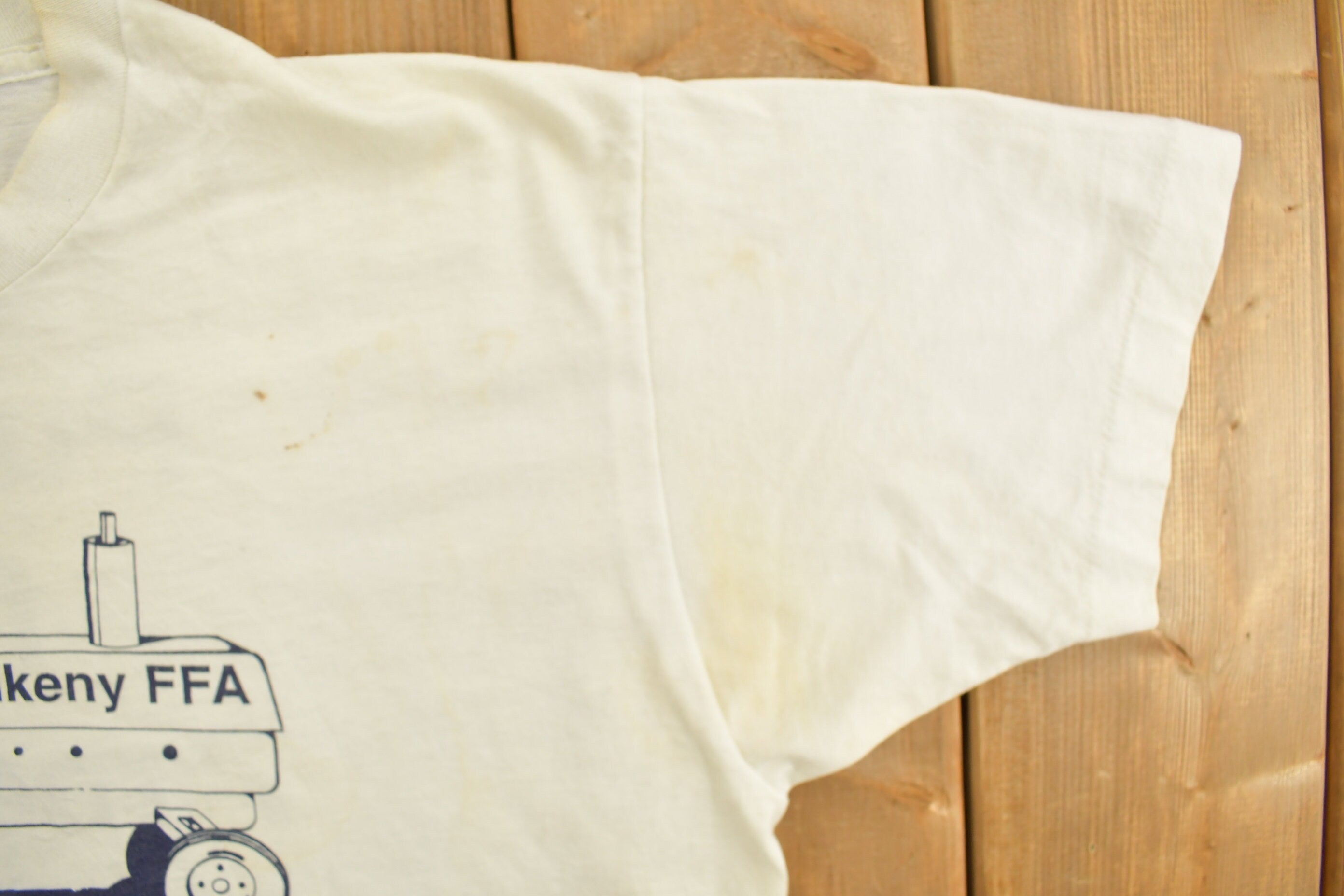 Vintage 1991 Summerfest Ankeny T-Shirt