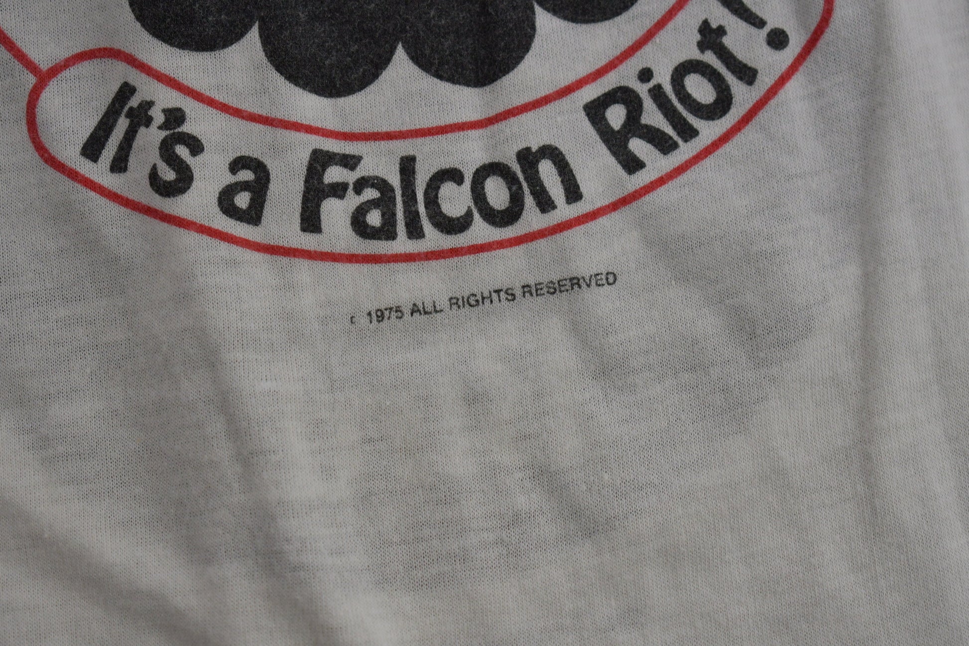 Vintage 1975 The Black Bird George Segal Movie Promo T-shirt