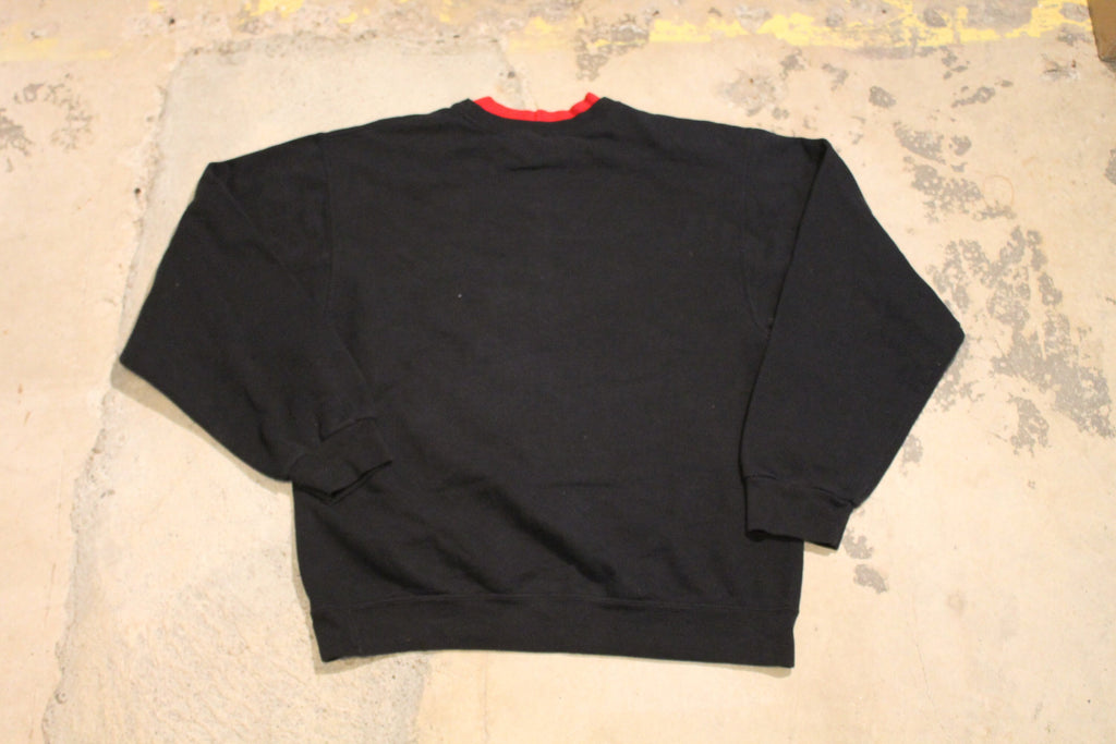 Vintage 1990s Minnesota Souvenir Sweater , 90s Crewneck , Animal Bird Print , Winter Wear , Festive Graphic Print , Wildlife Scene