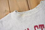 Vintage 1990s Iowa State College of Design Champion Reverse Weave Crewneck