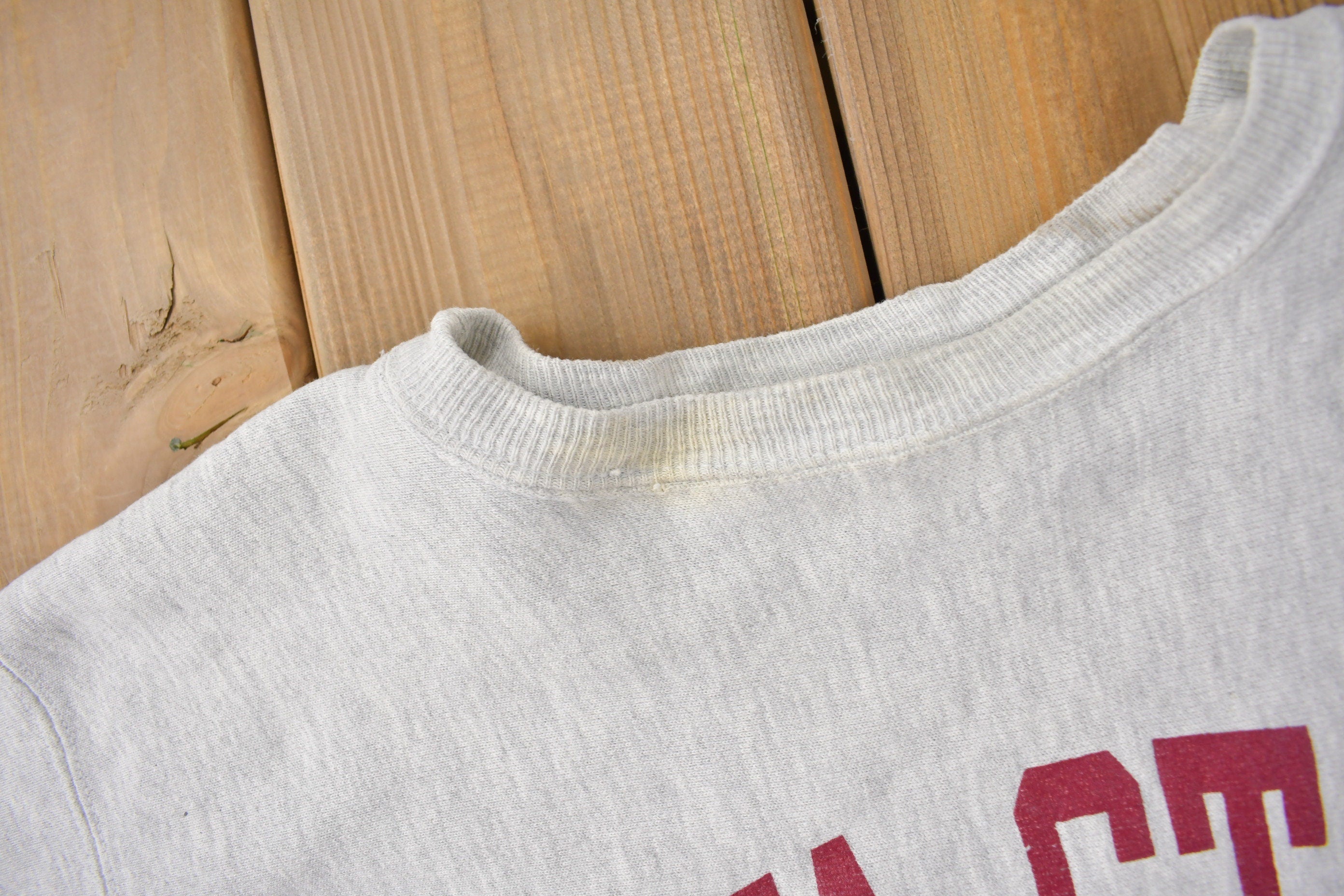 Vintage 1990s Iowa State College of Design Champion Reverse Weave Crewneck