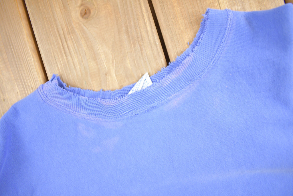 Vintage 1990s Naturally Distressed Champion Reverse Weave Sweatshirt