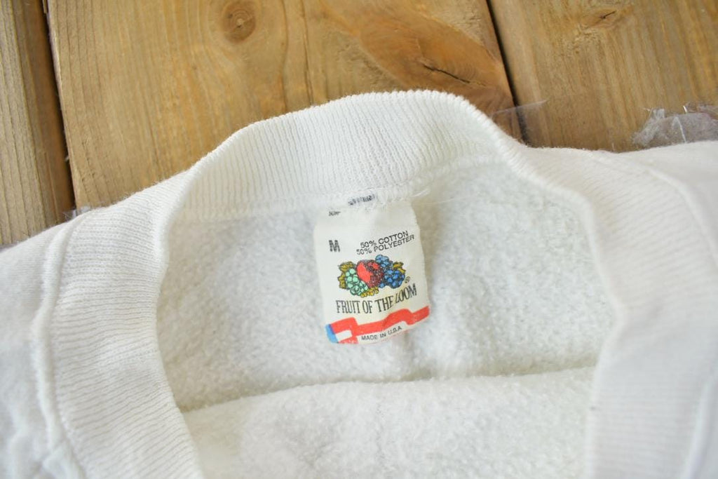 Vintage 1980s Williamsburg Virginia Graphic Crewneck Sweatshirt