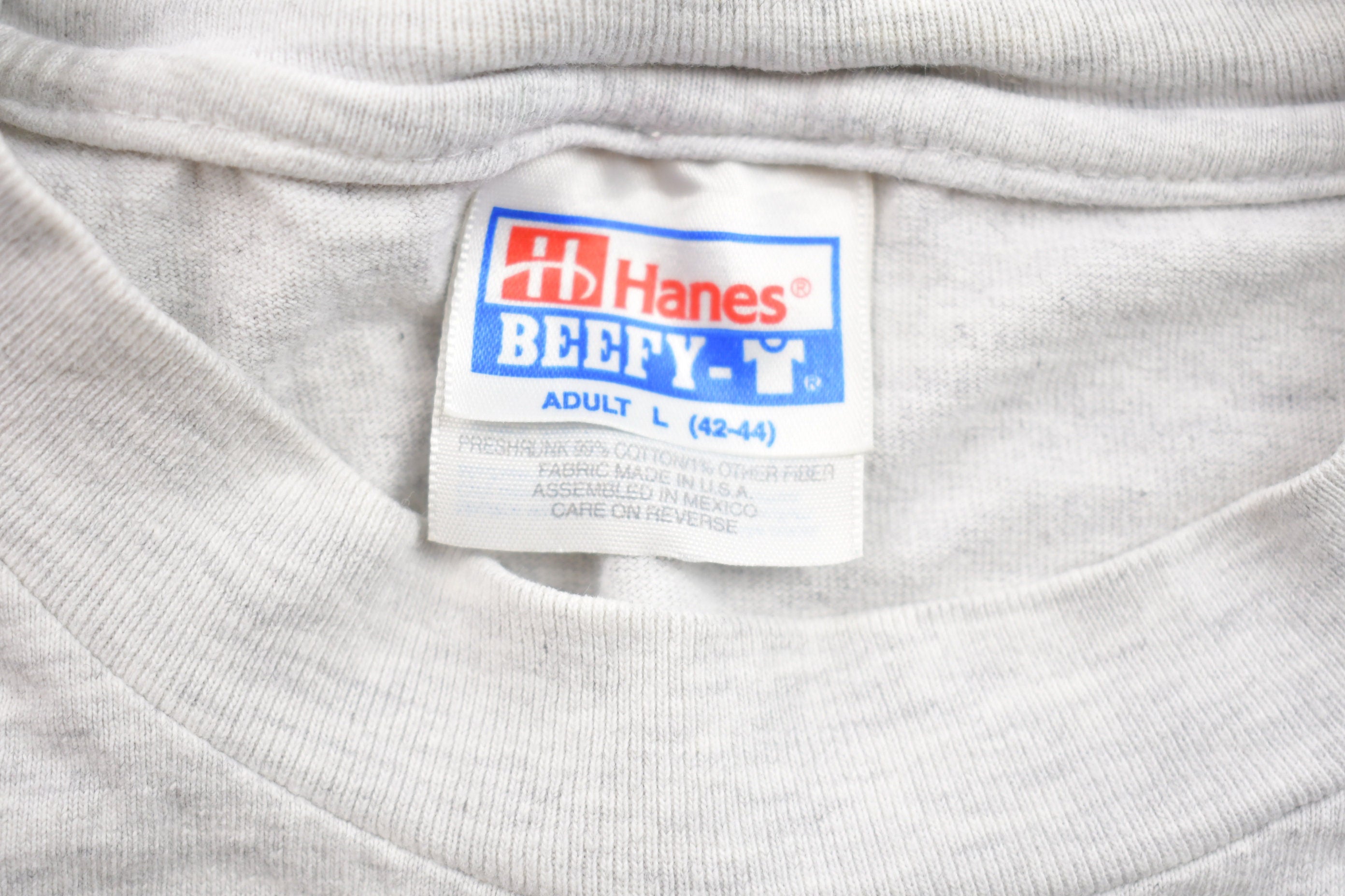 Vintage 1990s Hanes Goldenview Suns Graphic T Shirt