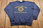 Vintage 1990s Lee Sheridan Drive Lions Crewneck Sweatshirt / 90s Crewneck / Souvenir / Athleisure / Streetwear / Made In USA / 90s Lee