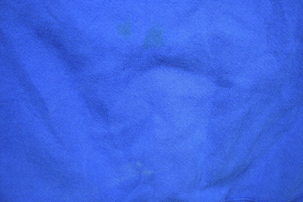 Vintage 1990s Buffalo Sabres NHL Crewneck Sweatshirt / Made In USA / Hockey / Sportswear / Athleisure / Americana / CSA / Buffalo Vintage