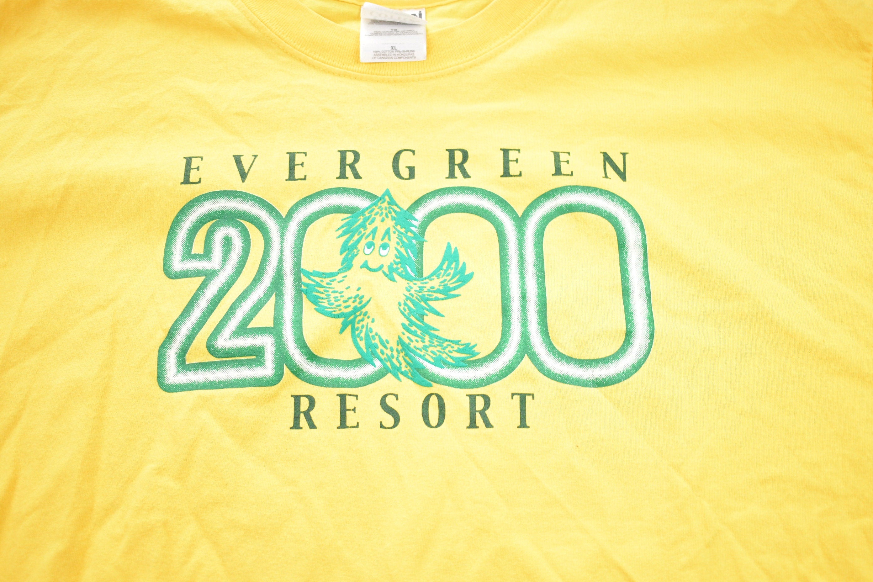 Vintage 2000 Evergreen Resort Graphic T-Shirt