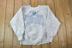 Vintage 1990 Setonhall University Collegiate Crewneck  Embroidered  NCAA Sweatshirt  Sportswear  Americana
