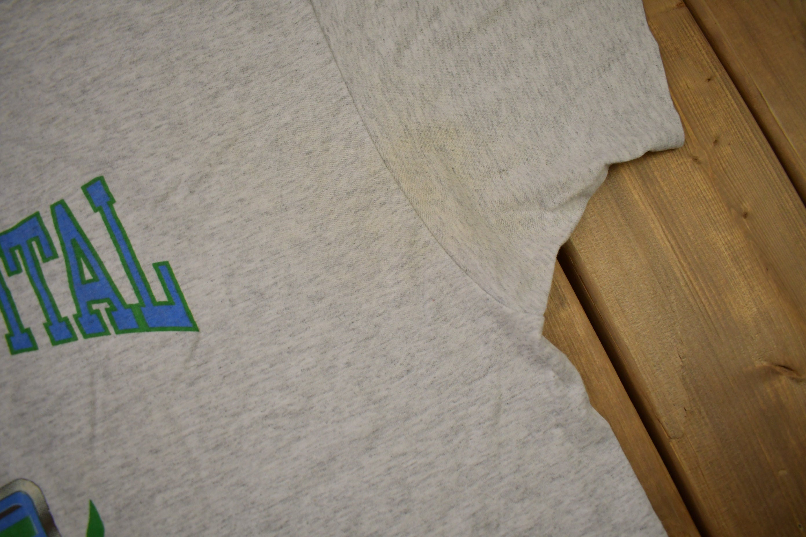 Vintage 1990s Michigan Capital Healthcare Graphic T Shirt