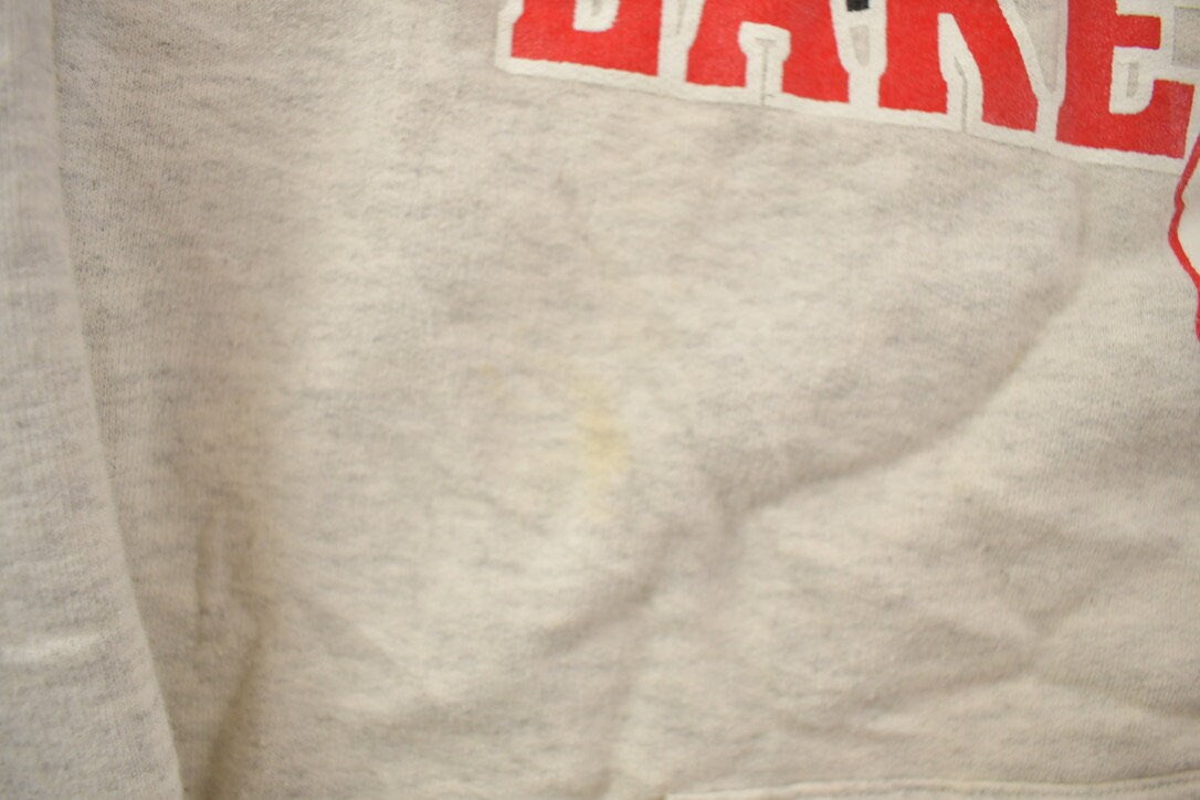 Vintage 1990s Lakeville North High School Panthers Graphic Hoodie