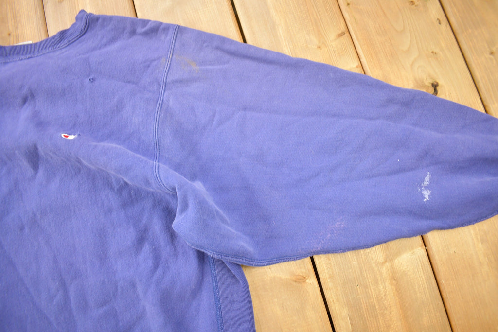 Vintage 1990s Blank Blue Champion Reverse Weave Crewneck
