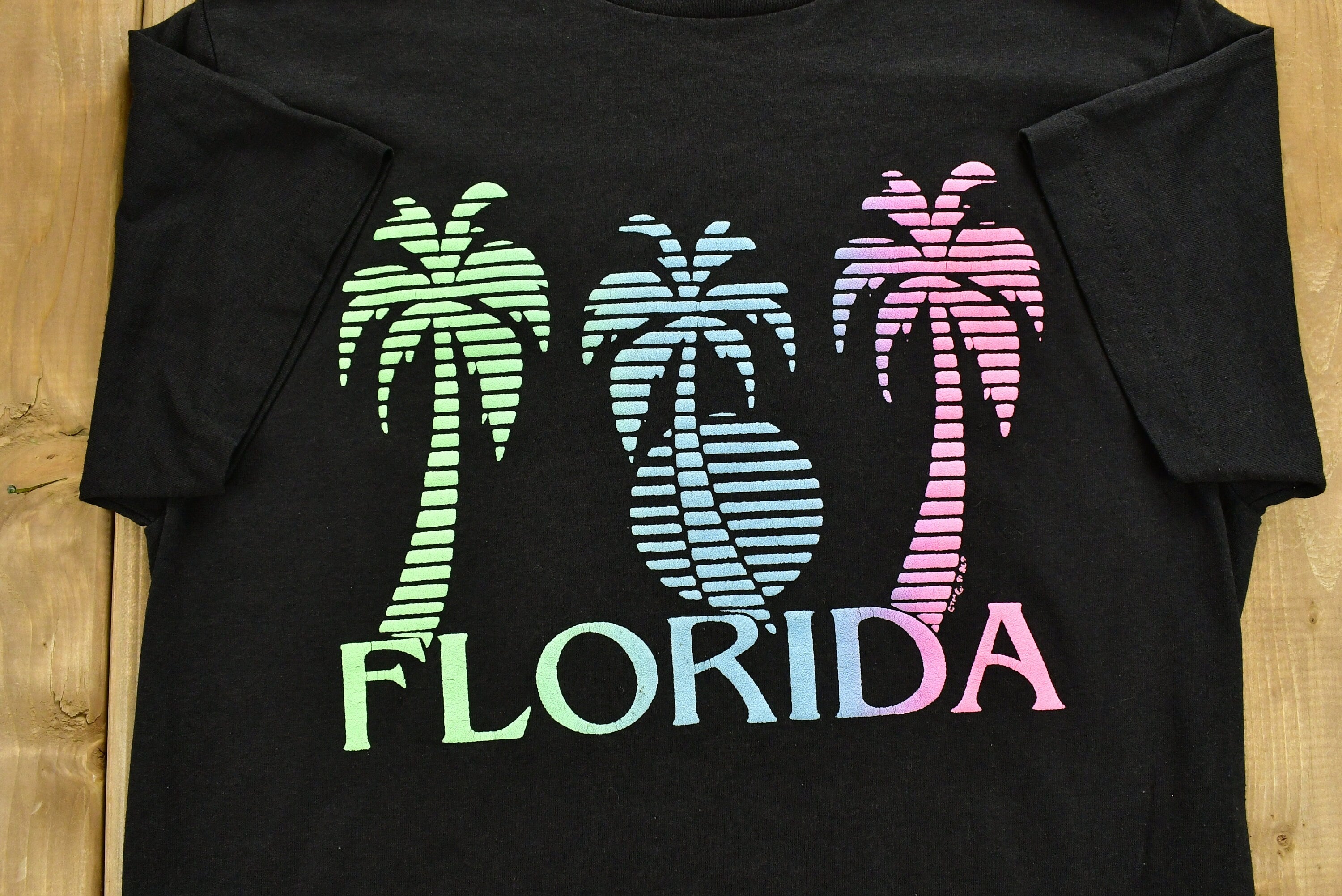 Vintage 1991 Florida USA Graphic Souvenir T Shirt