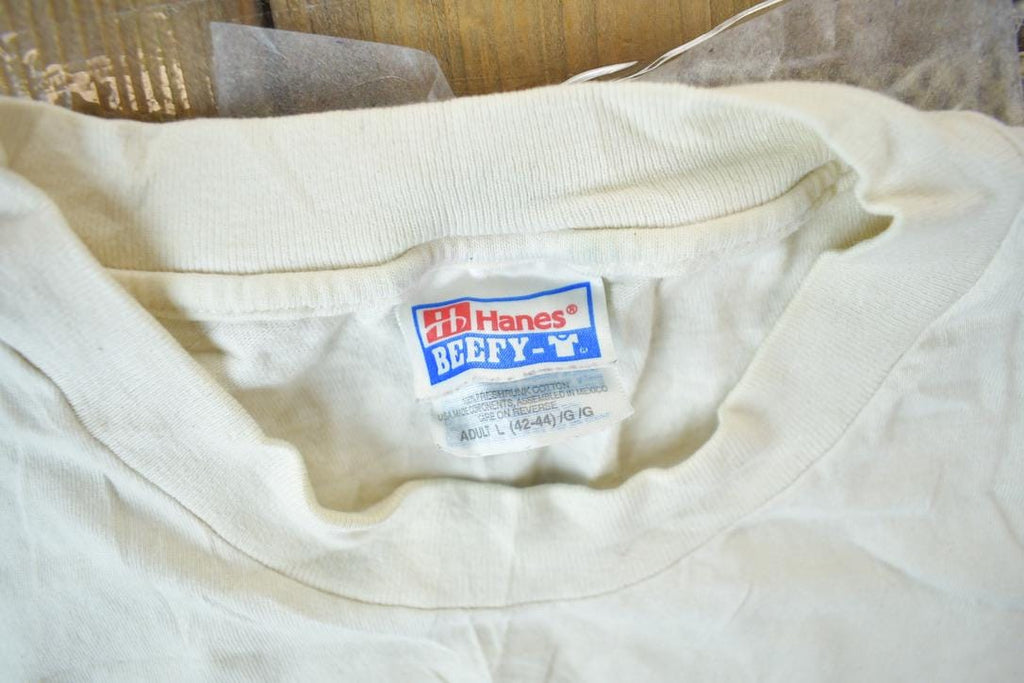 Vintage 1993 Poconos Blues Festival Graphic T Shirt