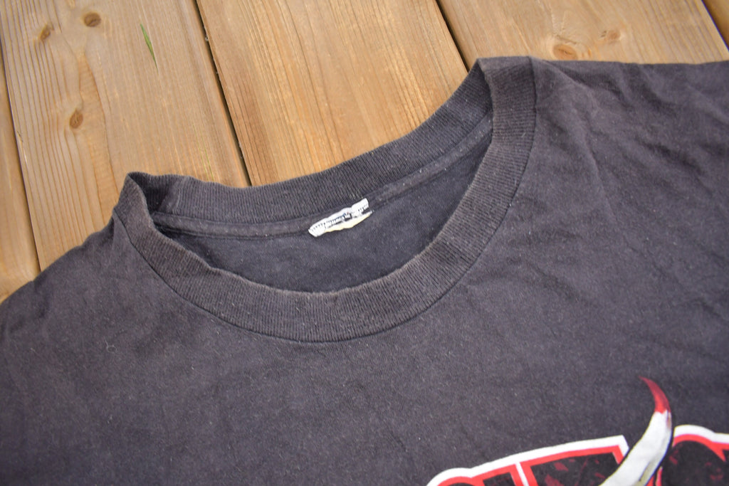 Vintage 1990s Chicago Bulls NBA Graphic T-Shirt / Sportswear / Vintage Bulls Tee / Single Stitch / Made In USA