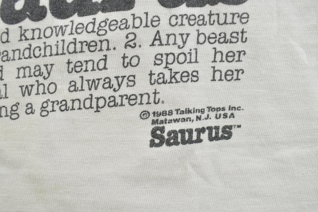 Vintage 1990s Grandmasaurus Cute Grandma Dinosaur Graphic T-Shirt