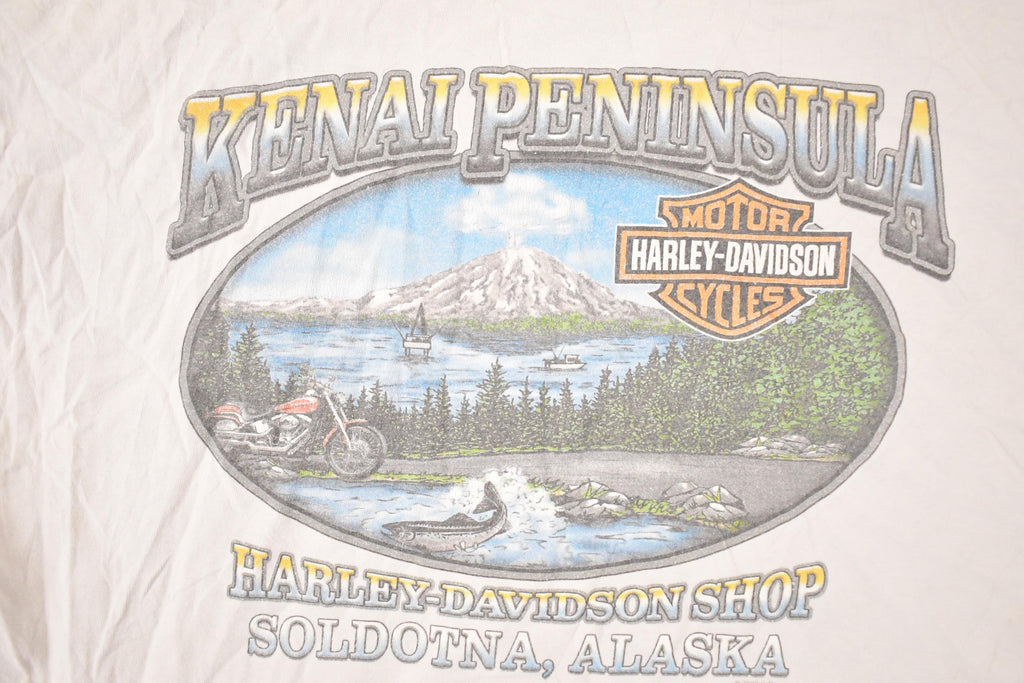 Vintage Y2K Alaska Harley Davidson Motorcycles Biker T-Shirt Men's L
