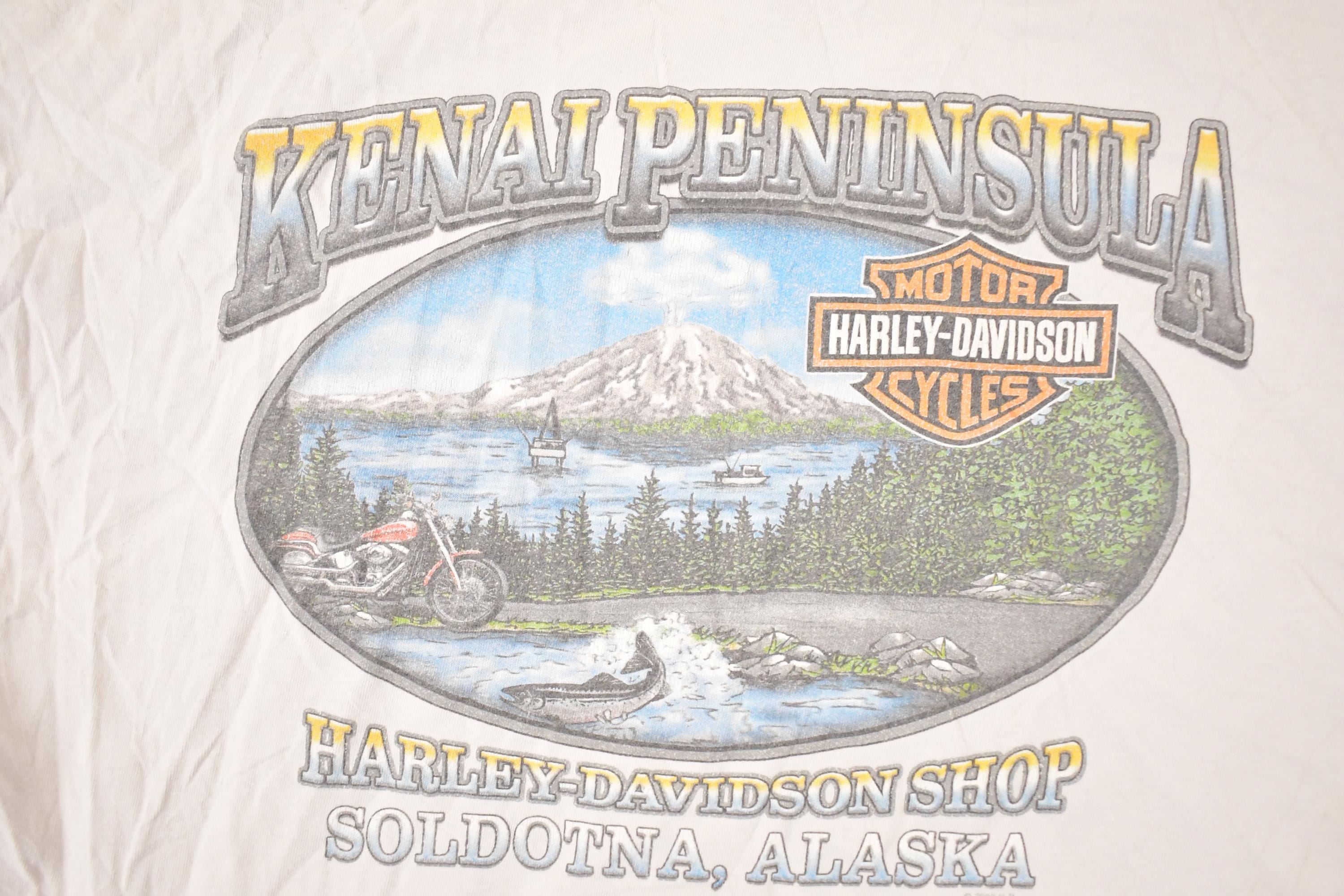 Vintage Y2K Alaska Harley Davidson Motorcycles Biker T-Shirt Men's L