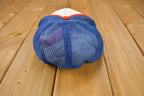 Vintage 1990s M. Dusyk & Son Montmartre Esso Trucker Hat