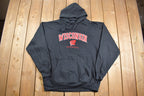 Vintage 1990s University of Wisconsin Badgers Hoodie  90s Hoodie  Souvenir  Embroidered  Streetwear  90s Collegiate