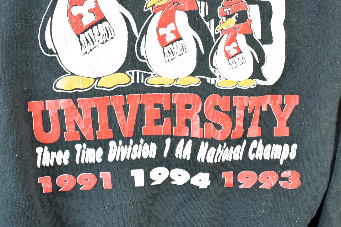 Vintage 1994 Youngstown State Ohio University Crewneck