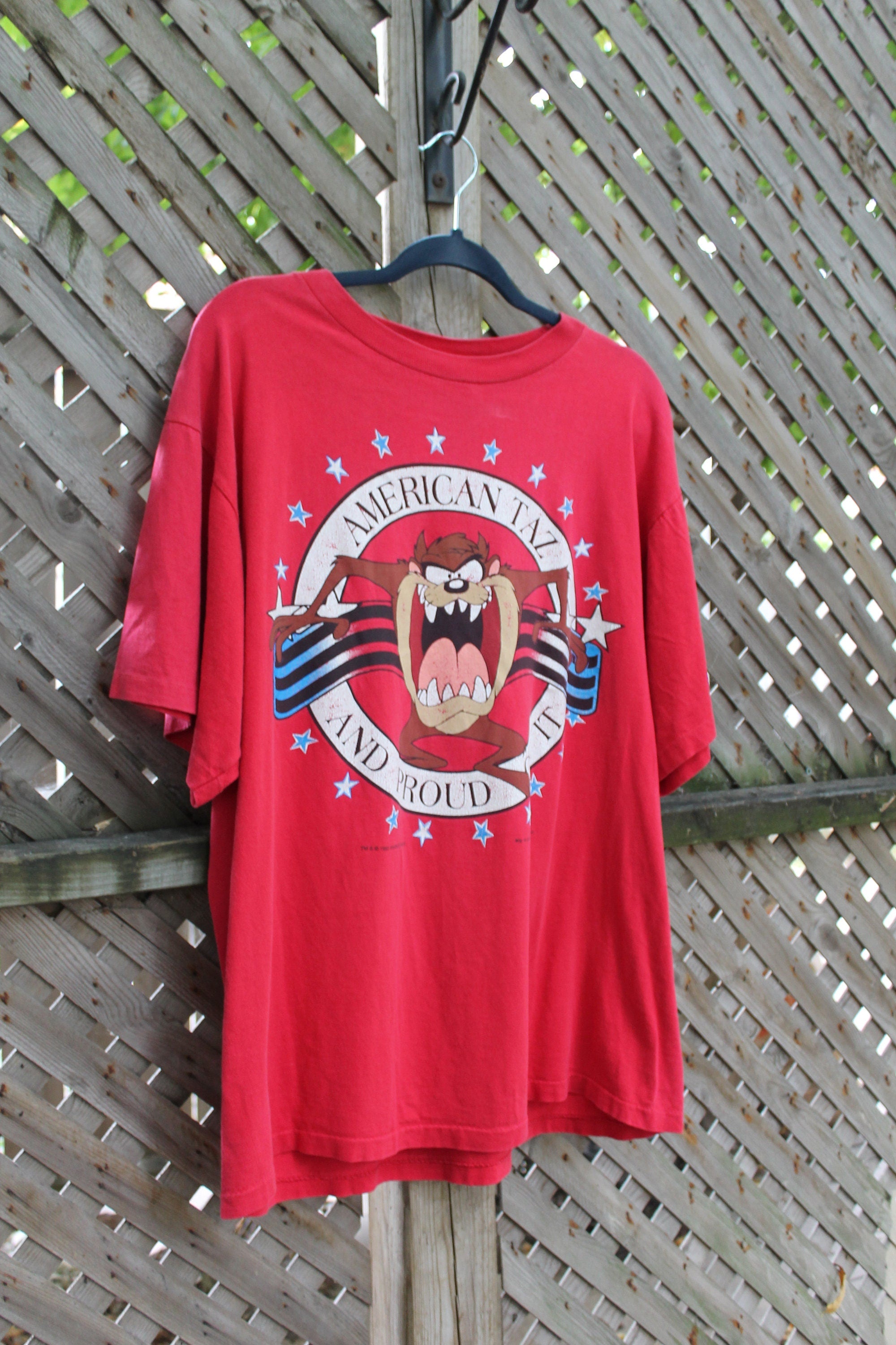 Vintage 1995 Looney Tunes Taz Devil Graphic T Shirt