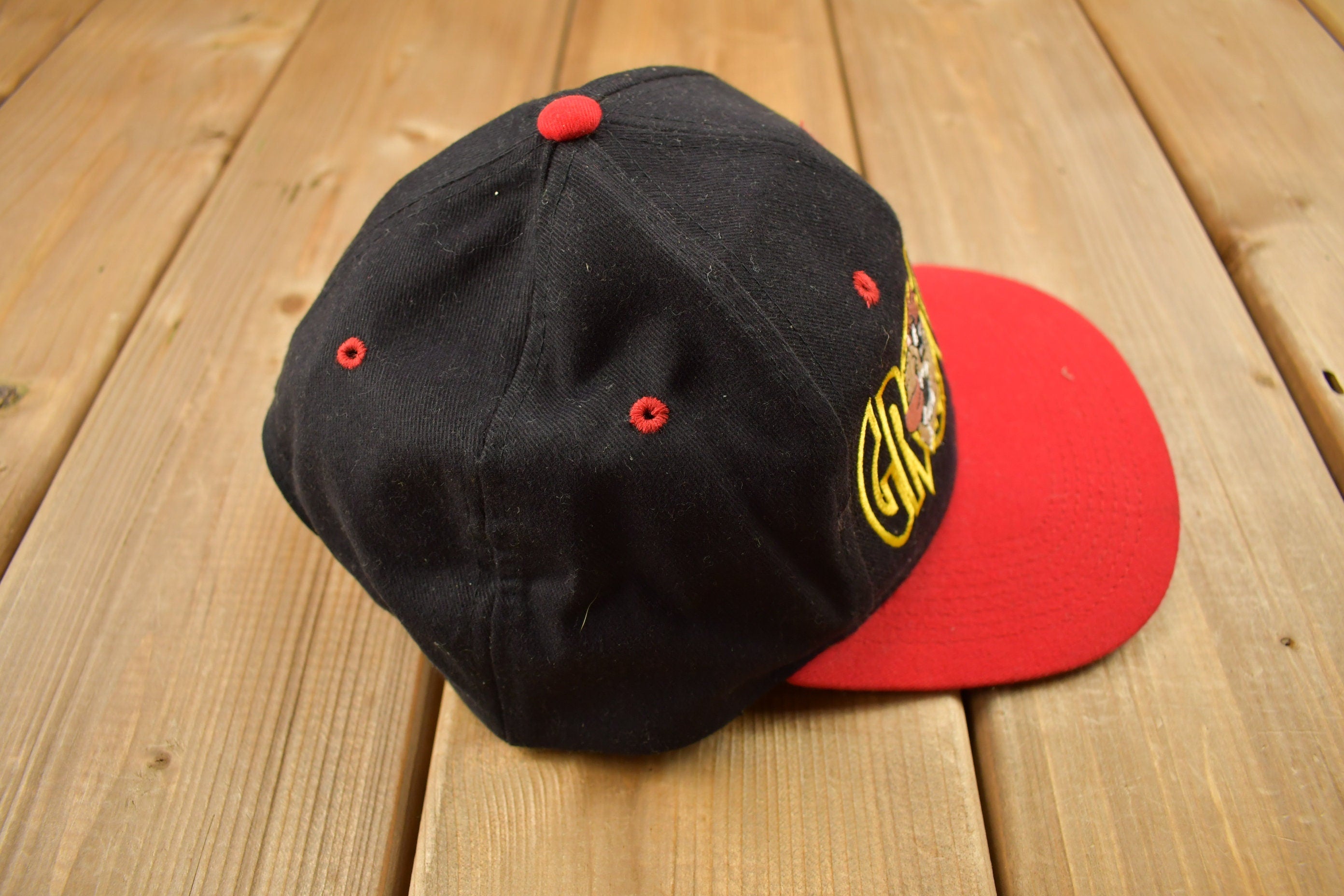 Vintage 1997 Looney Tunes Taz Snap Back Hat