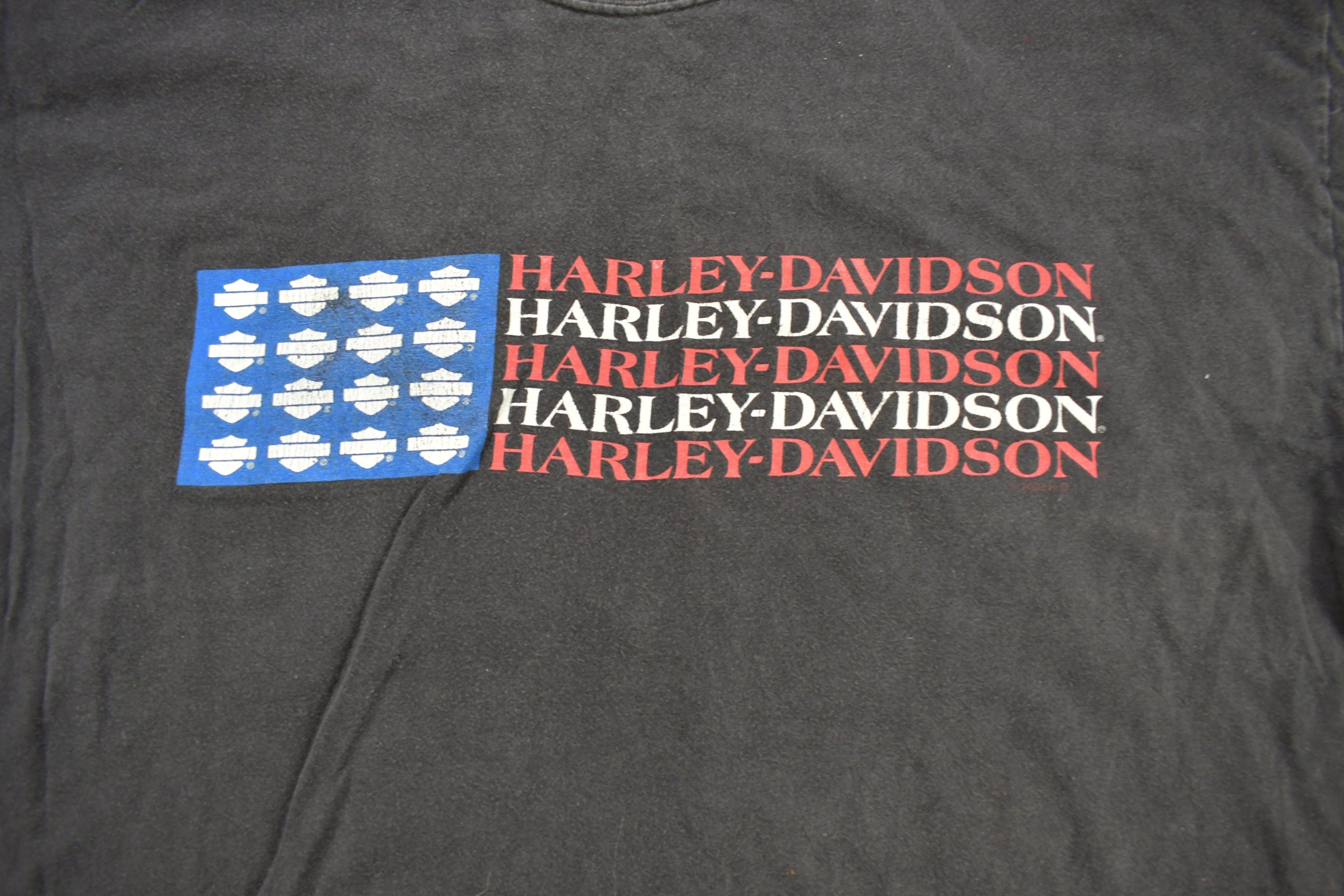 Vintage 2002 Buffalo Harley Davidson New York Graphic T-Shirt
