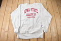 Vintage 1990s Iowa State College of Design Champion Reverse Weave Crewneck