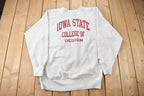 Vintage 1990s Iowa State College of Design Champion Reverse Weave Crewneck