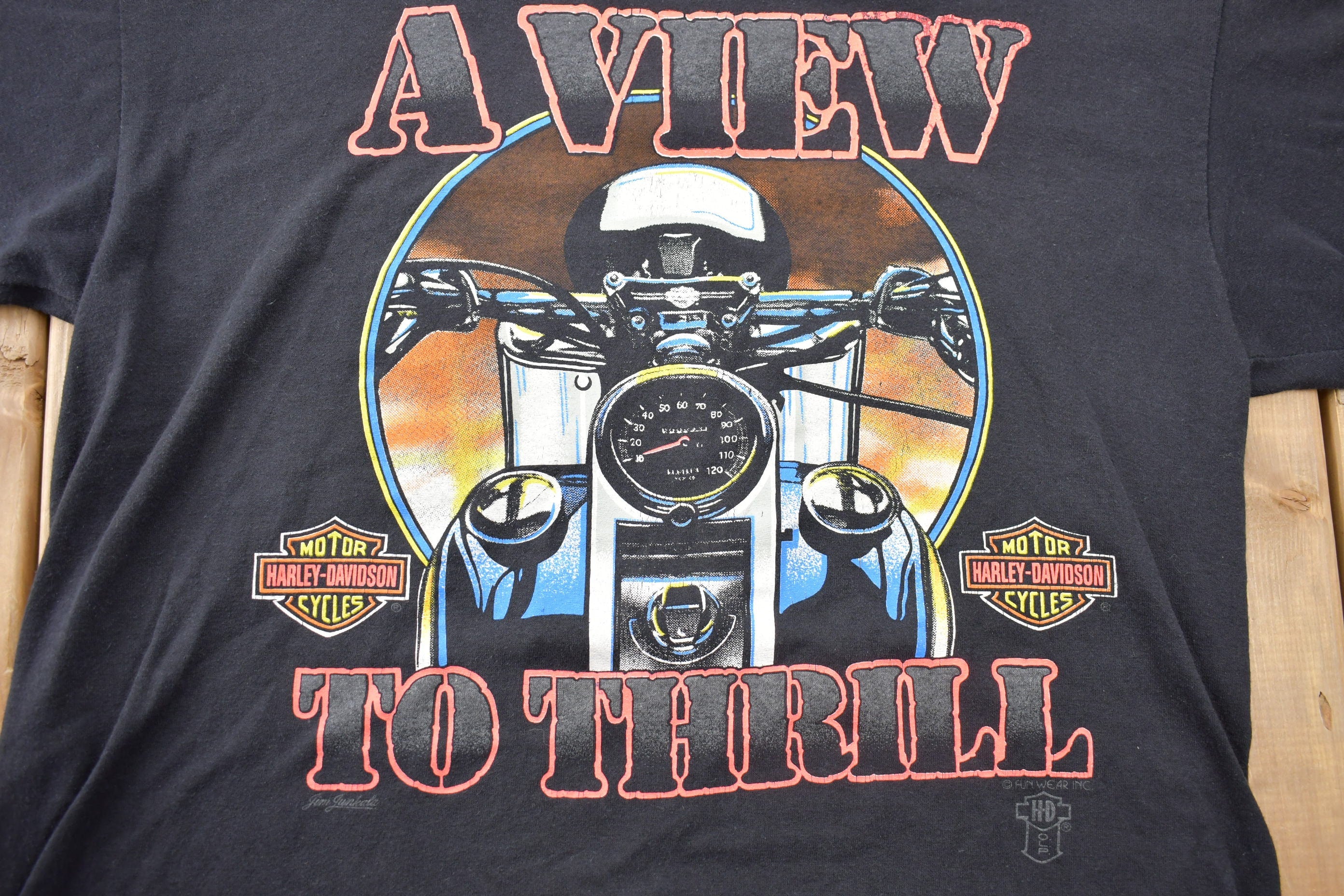 Vintage 1990s Harley Davidson A View to Thrill Graphic T-Shirt