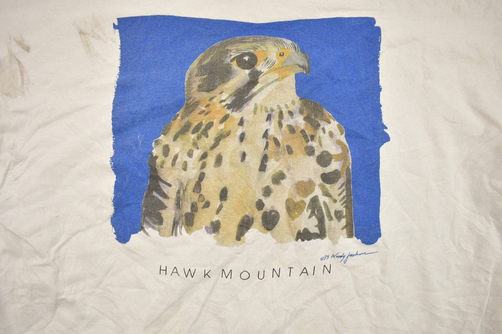 Vintage 1990s Hawk Mountain Graphic T Shirt