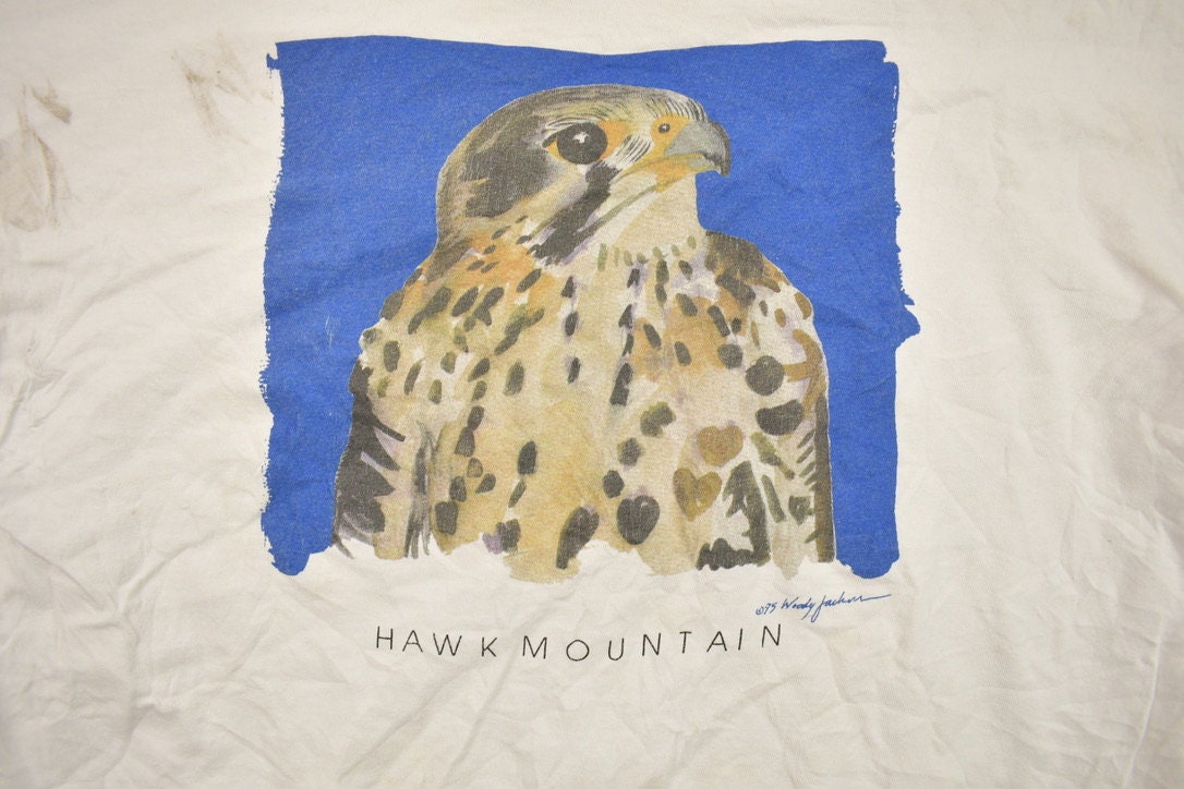 Vintage 1990s Hawk Mountain Graphic T Shirt