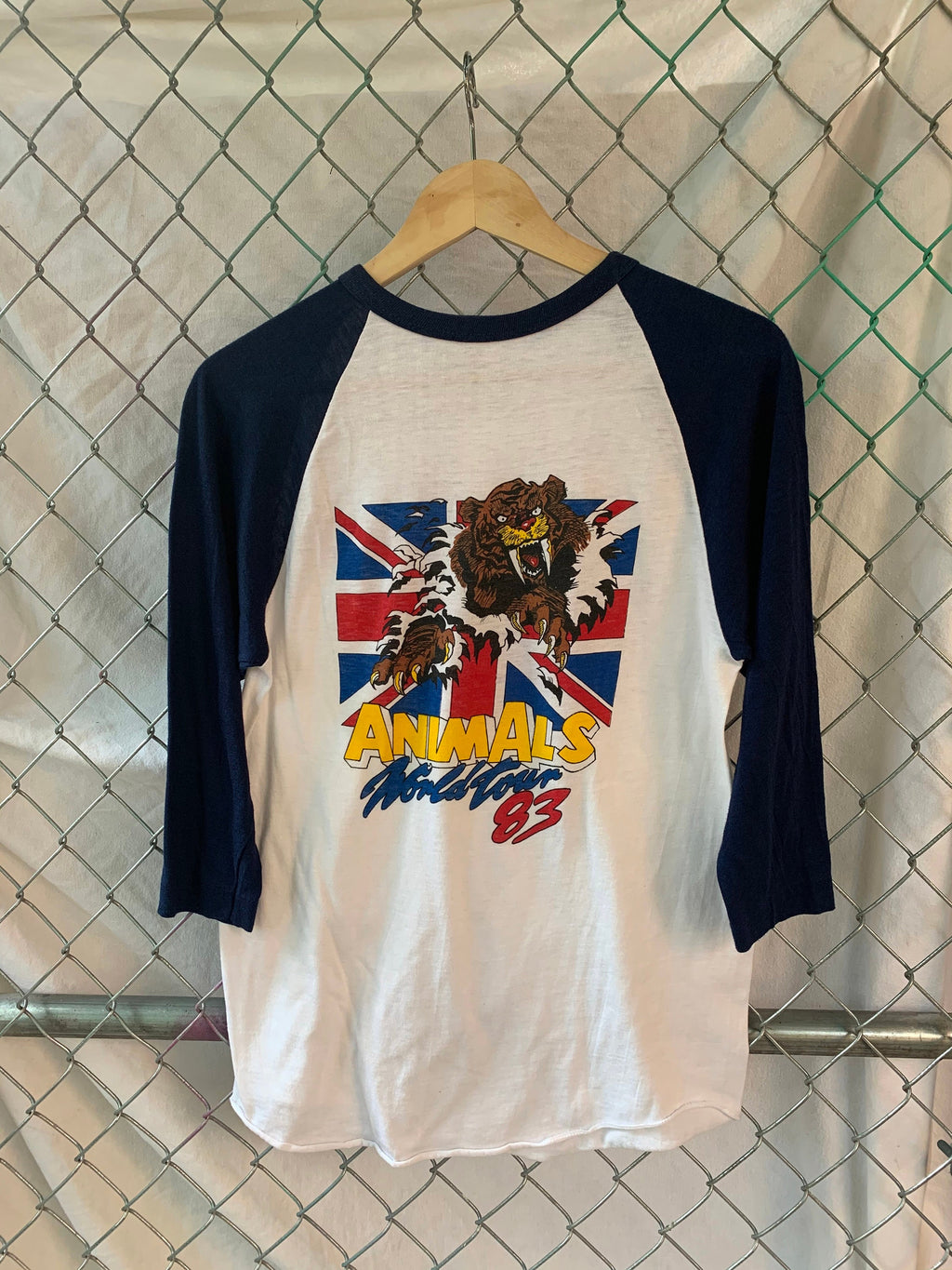 Animals Raglan