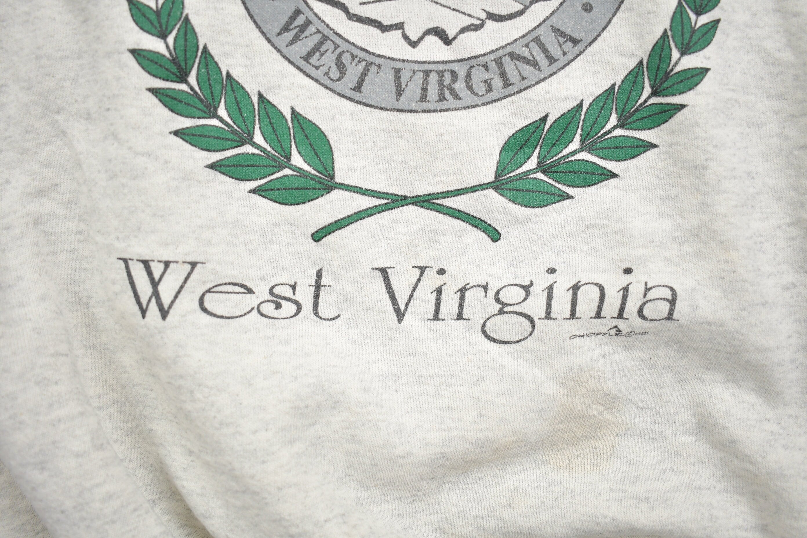 Vintage 1990s Huttonsville West Virginia Hoodie