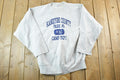 Vintage 1990s Kandiyohi Country Souvenir Cross Grain Crewneck Sweatshirt Made In USA / 90s Crewneck / Souvenir Sweater / Streetwear / Travel