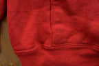 Vintage 1990s Mountain Valley Hawks Collegiate Hoodie
