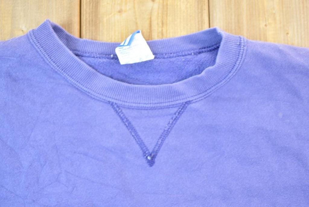 Vintage 1990s Champion Sweatshirt