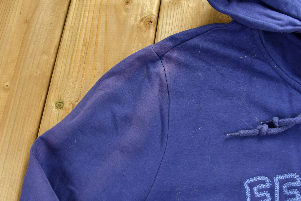 Vintage 1990s Eeyore Full Zip Hoodie