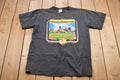 Vintage 2002 Pittsburgh Steelers NFL Graphic T-Shirt