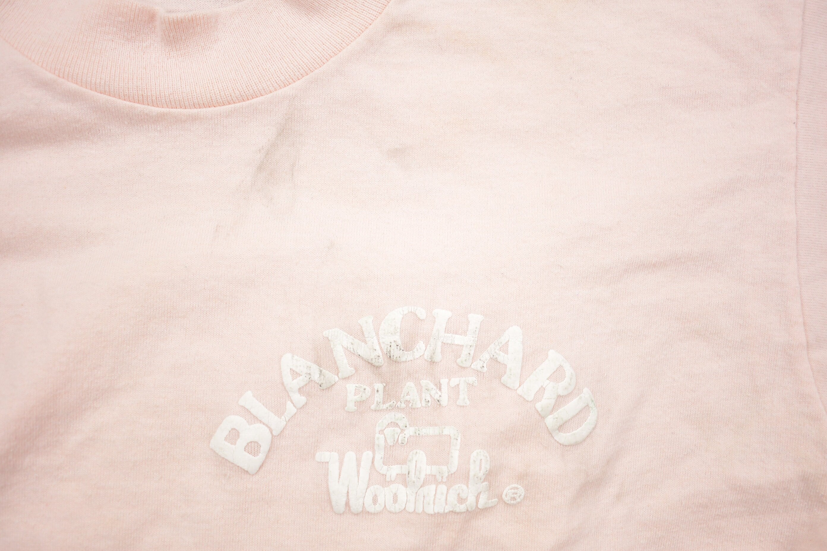 Vintage 1990s Woolrich Blanchard Plant T-Shirt