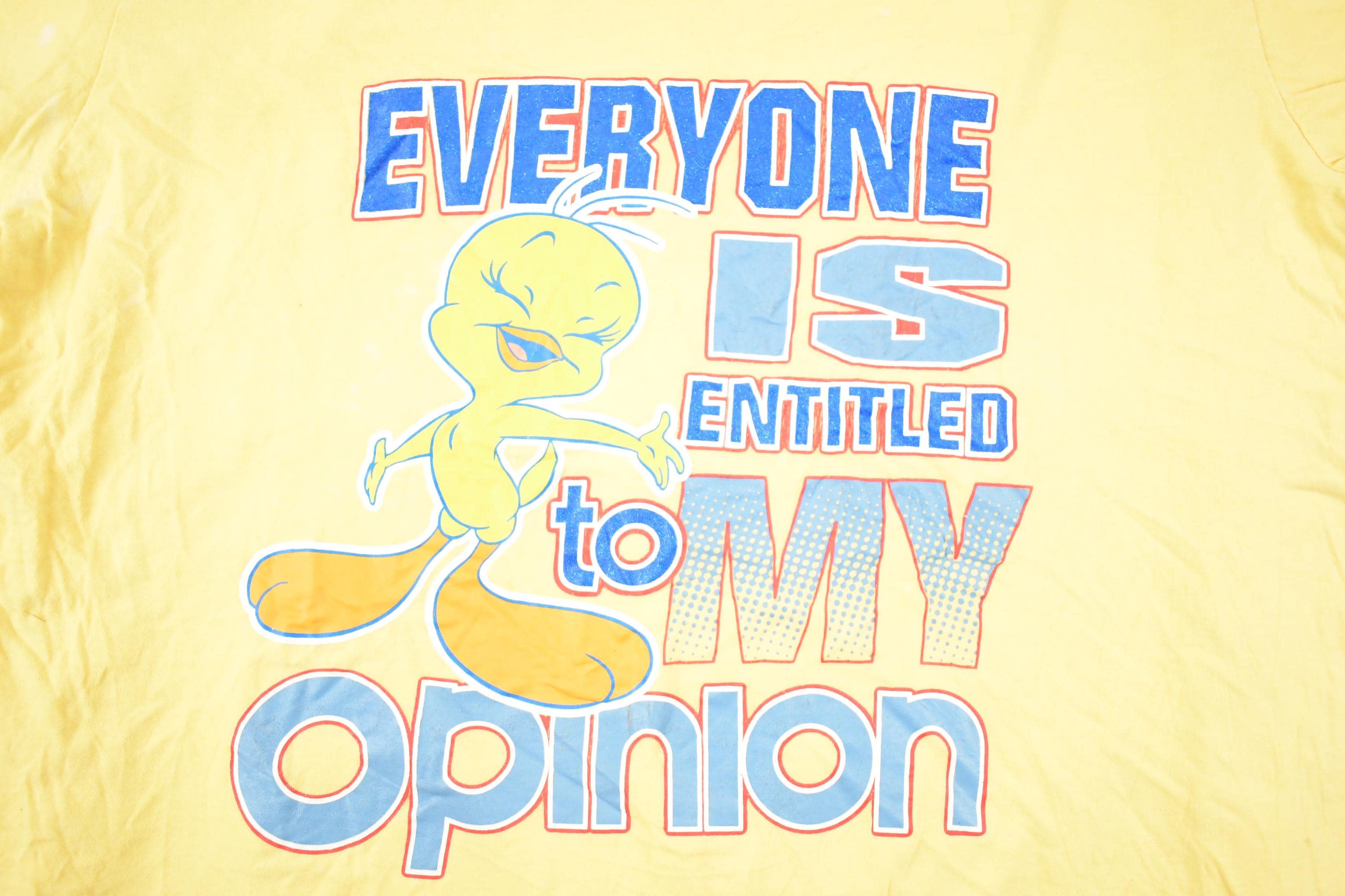 Vintage 1990s Looney Tunes Tweety Bird My Opinion Souvenir T-Shirt Women's XXL