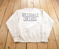 Vintage 1990s HIllsdale College Champion Reverse Weave Crewneck Made In USA