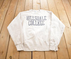 Vintage 1990s HIllsdale College Champion Reverse Weave Crewneck Made In USA
