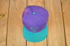 Vintage 1990s Charlotte Hornets NBA Snap Back Hat